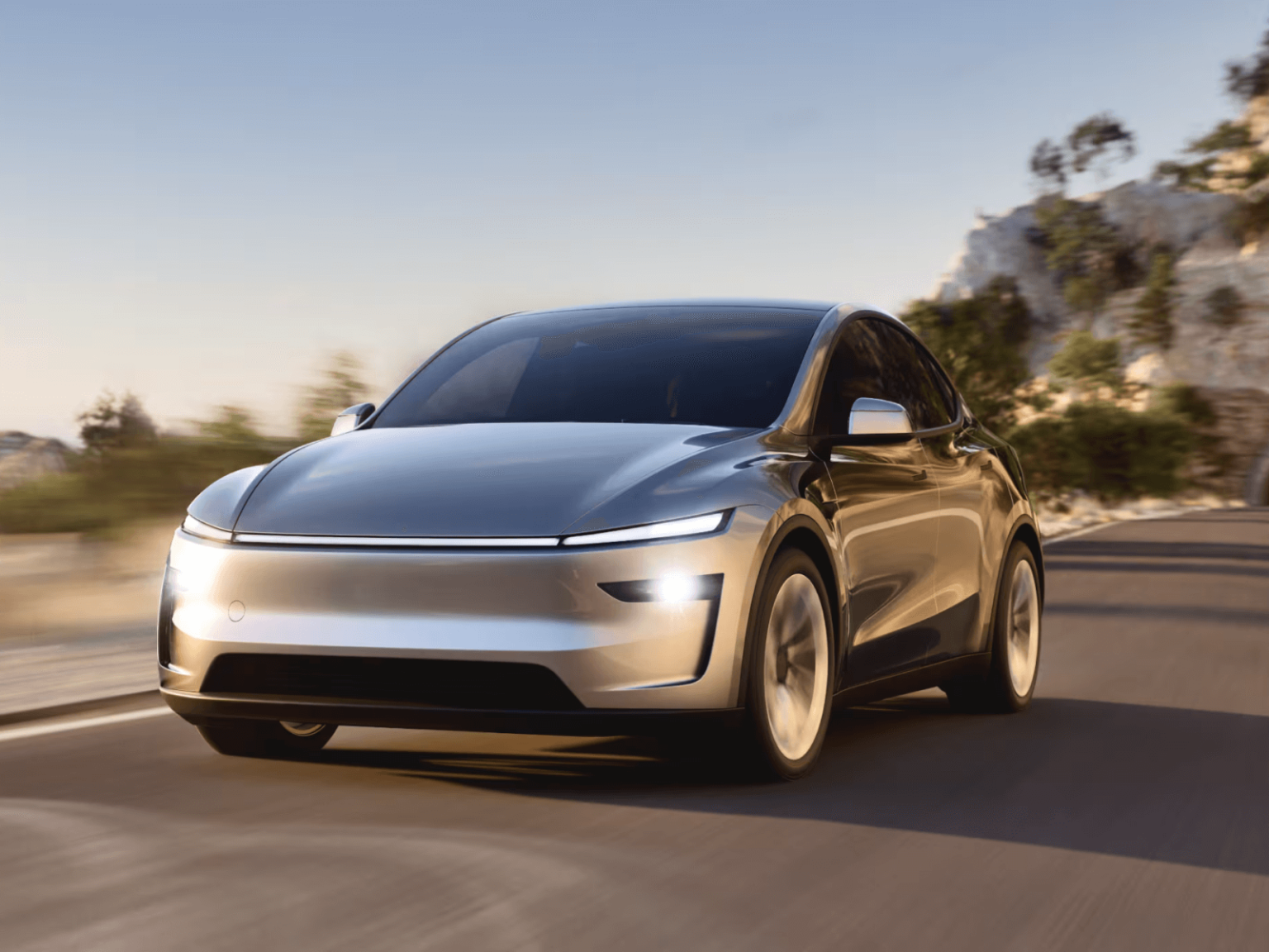 TESLA model Y